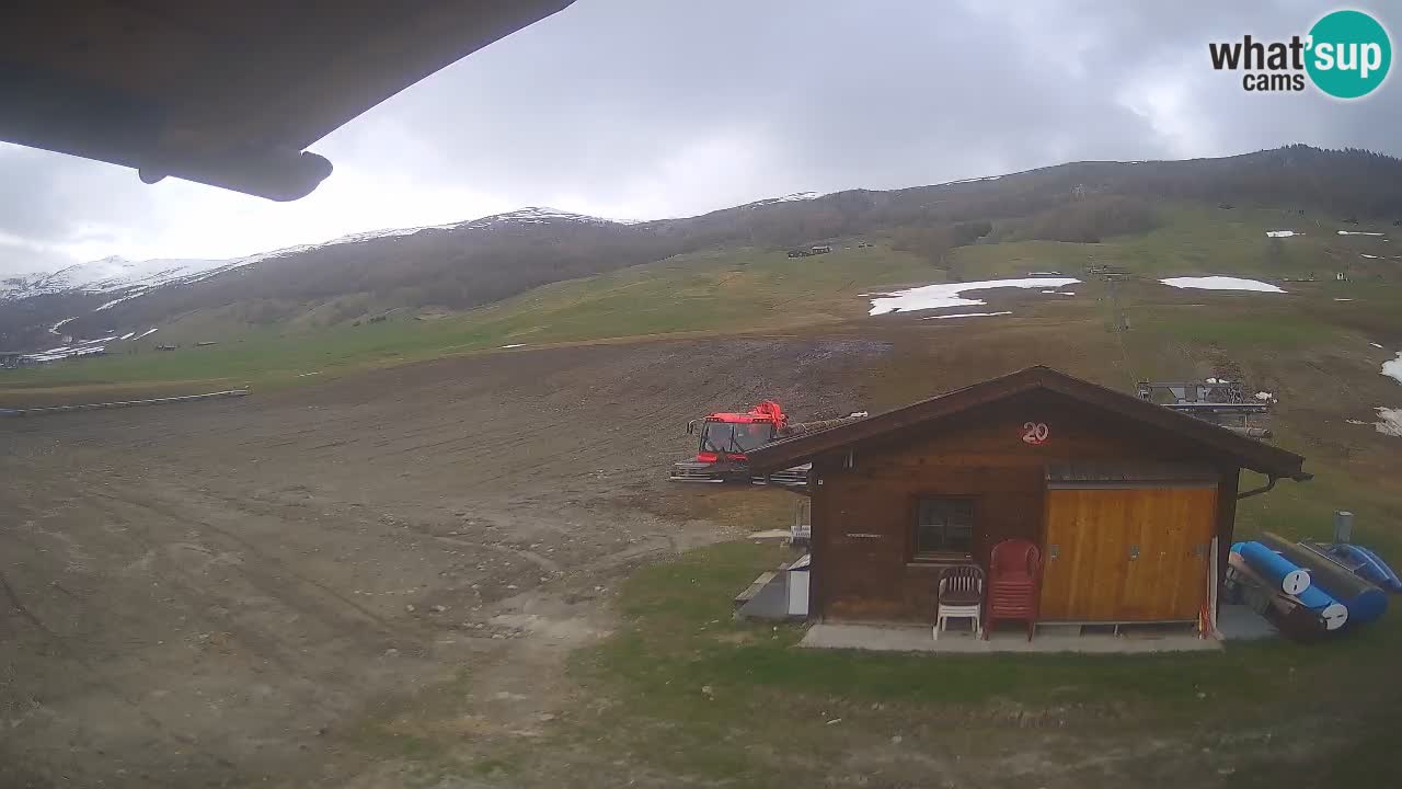 Webcam SKI Livigno snow forecast – ski area