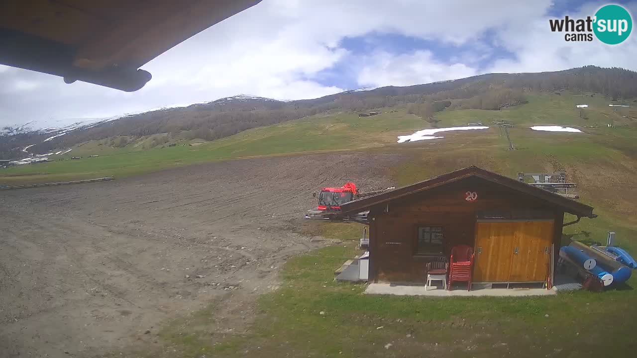 Webcam SKI Livigno snow forecast – ski area