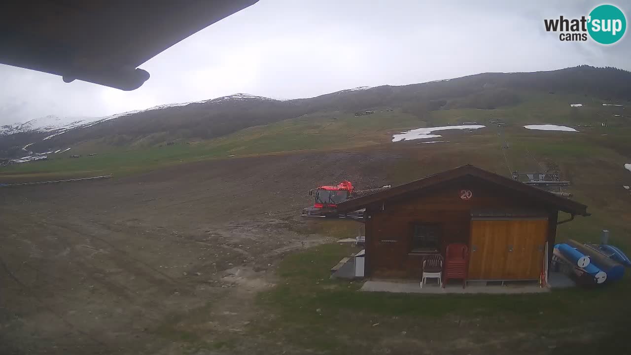 Livigno piste da sci webcam | Livigno ski
