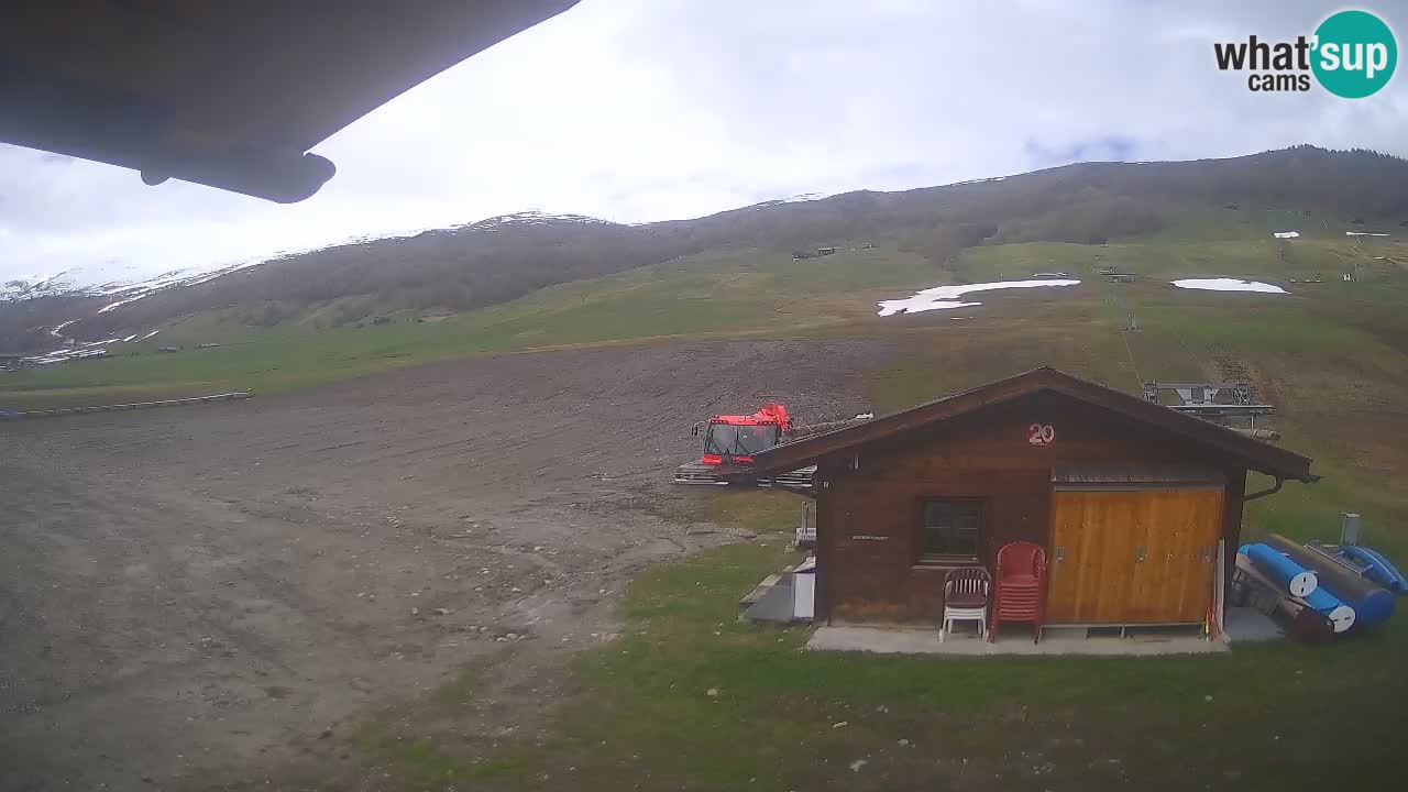Livigno piste da sci webcam | Livigno ski