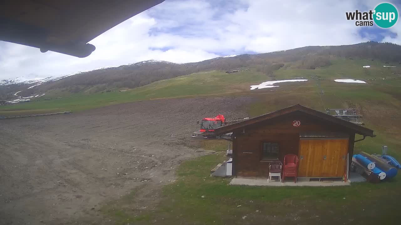 Livigno piste da sci webcam | Livigno ski
