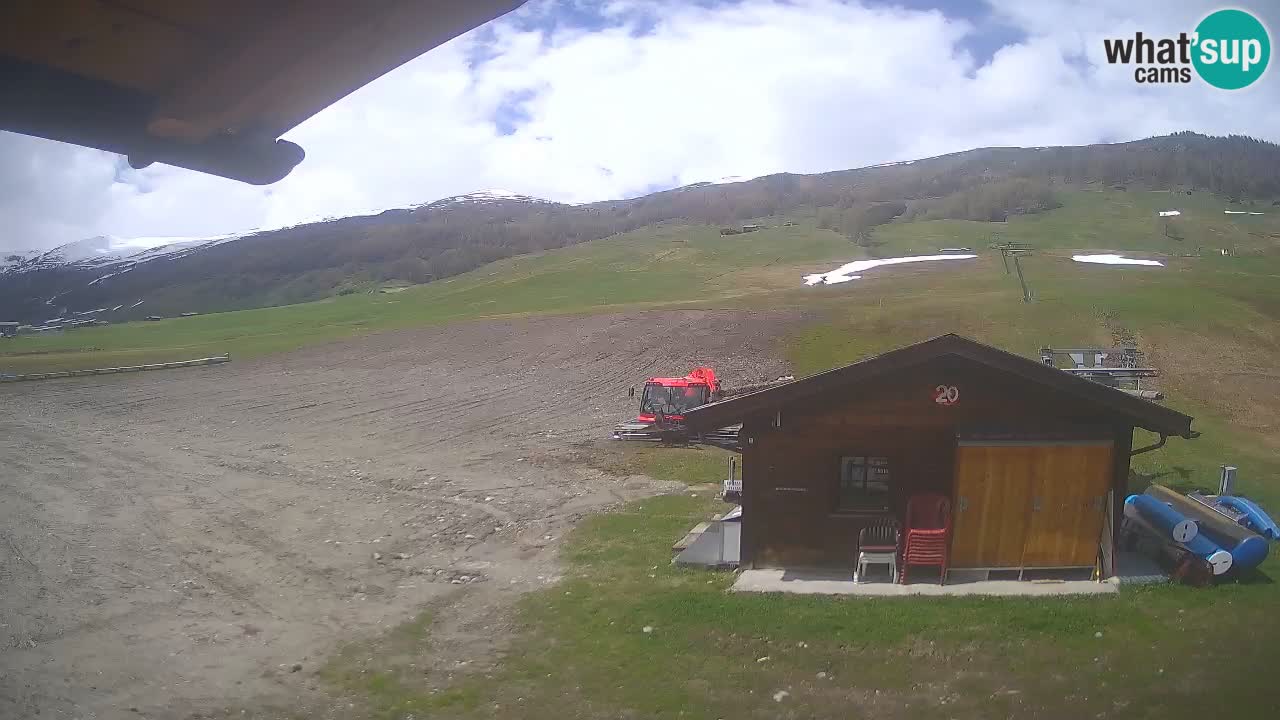 Livigno piste da sci webcam | Livigno ski