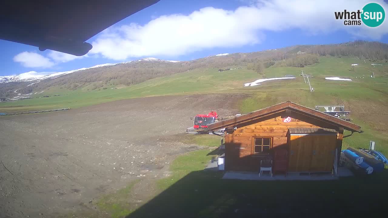 Livigno piste da sci webcam | Livigno ski