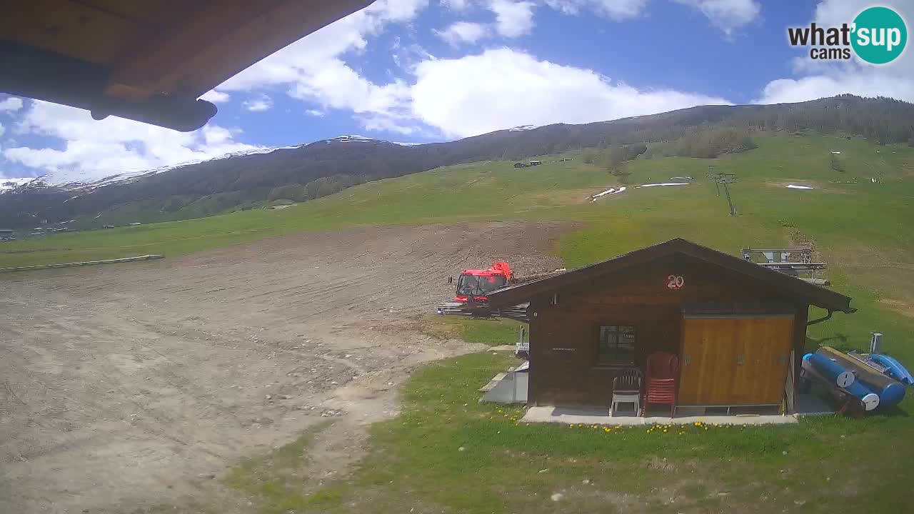 Webcam SKI Livigno snow forecast – ski area
