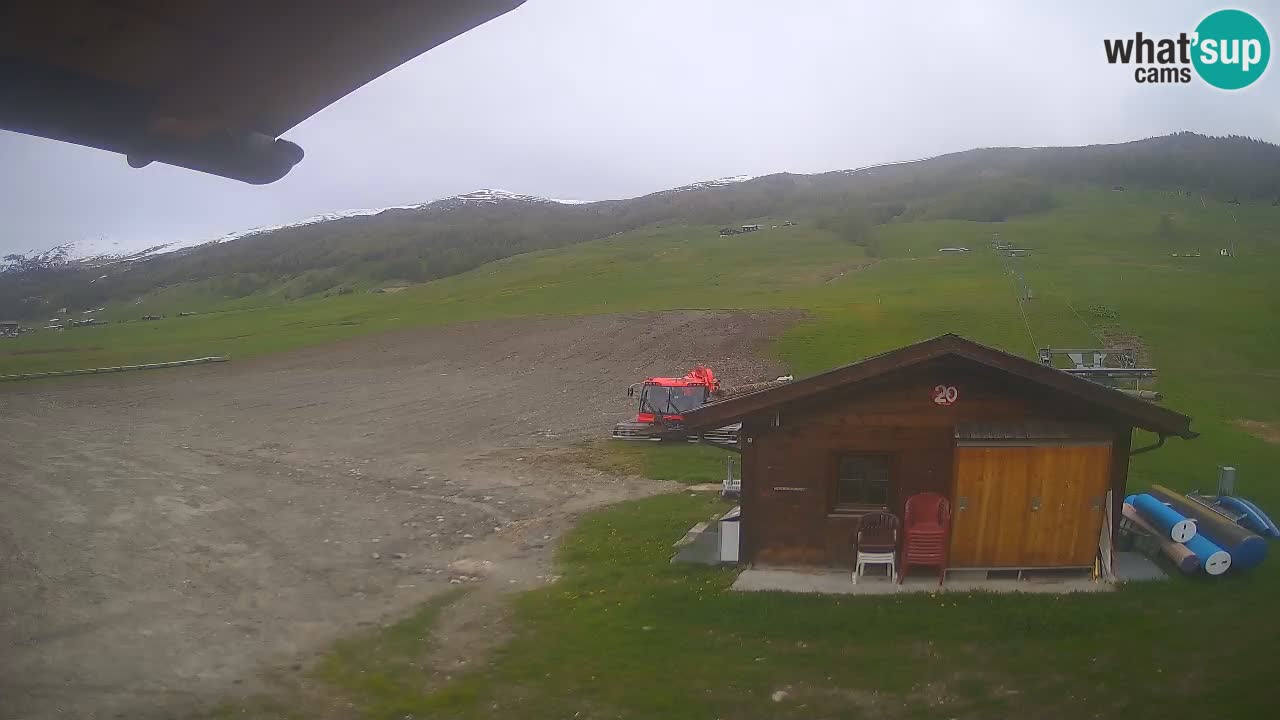 Livigno piste da sci webcam | Livigno ski
