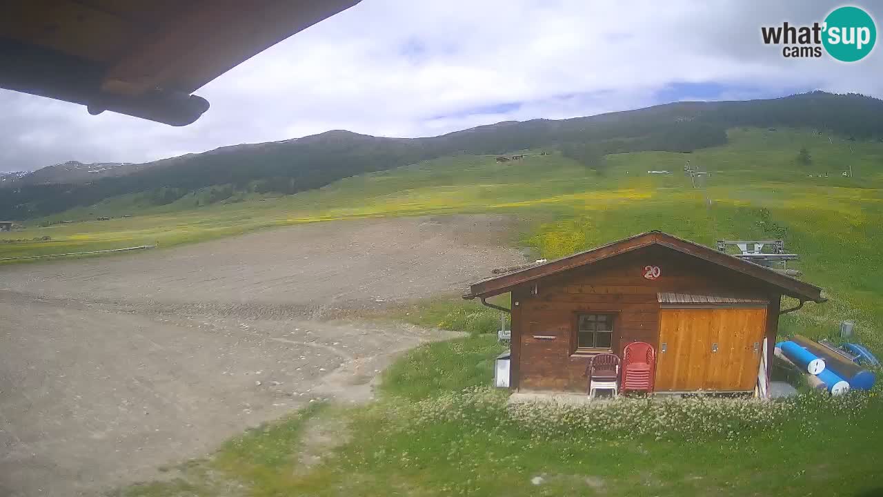 Livigno piste da sci webcam | Livigno ski