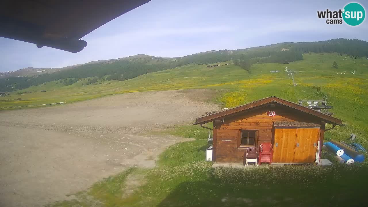 Webcam SKI Livigno snow forecast – ski area