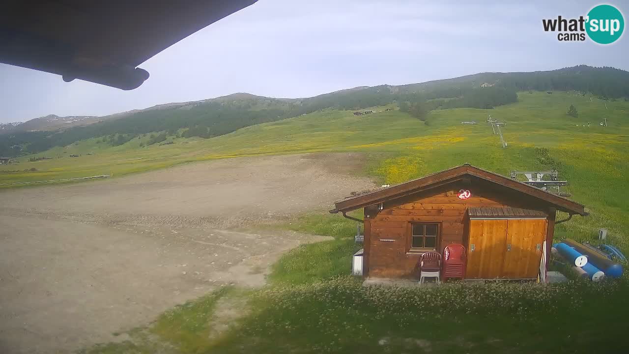 Webcam SKI Livigno snow forecast – ski area