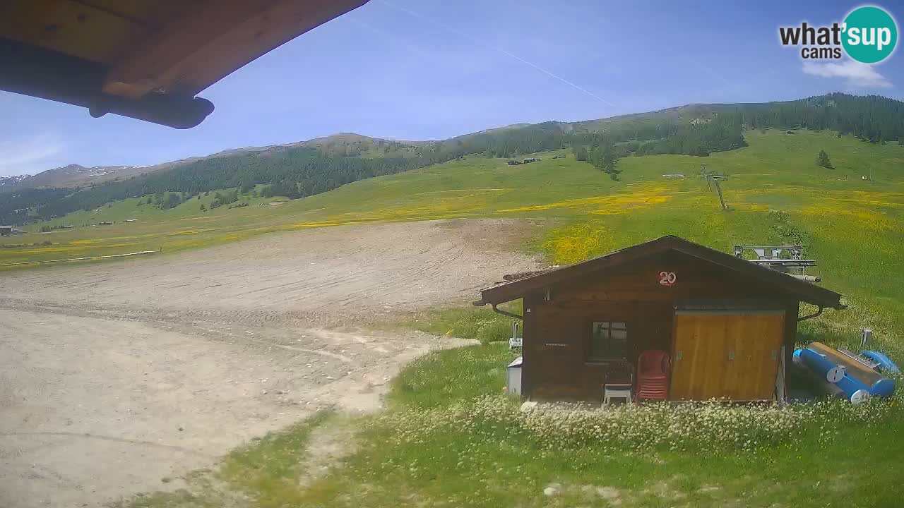 Livigno piste da sci webcam | Livigno ski