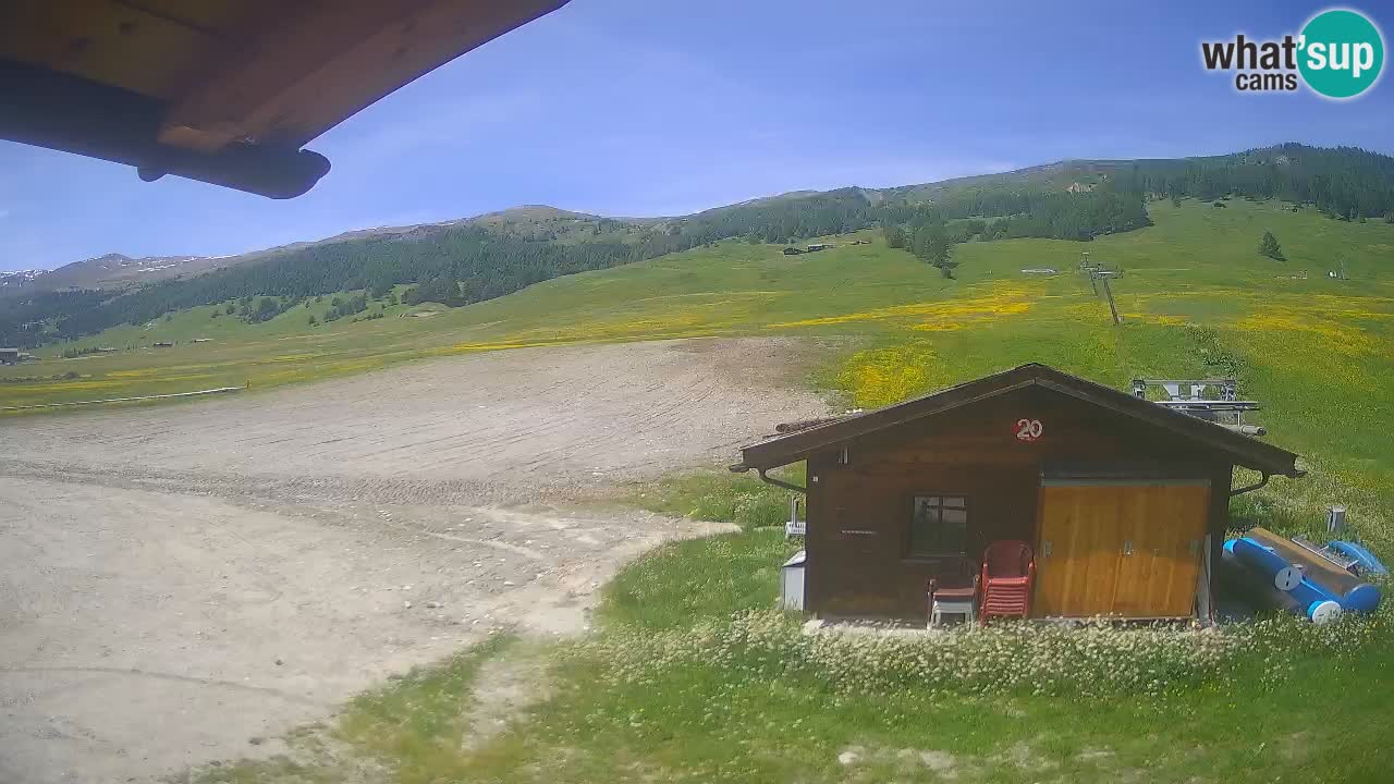 Webcam SKI Livigno snow forecast – ski area