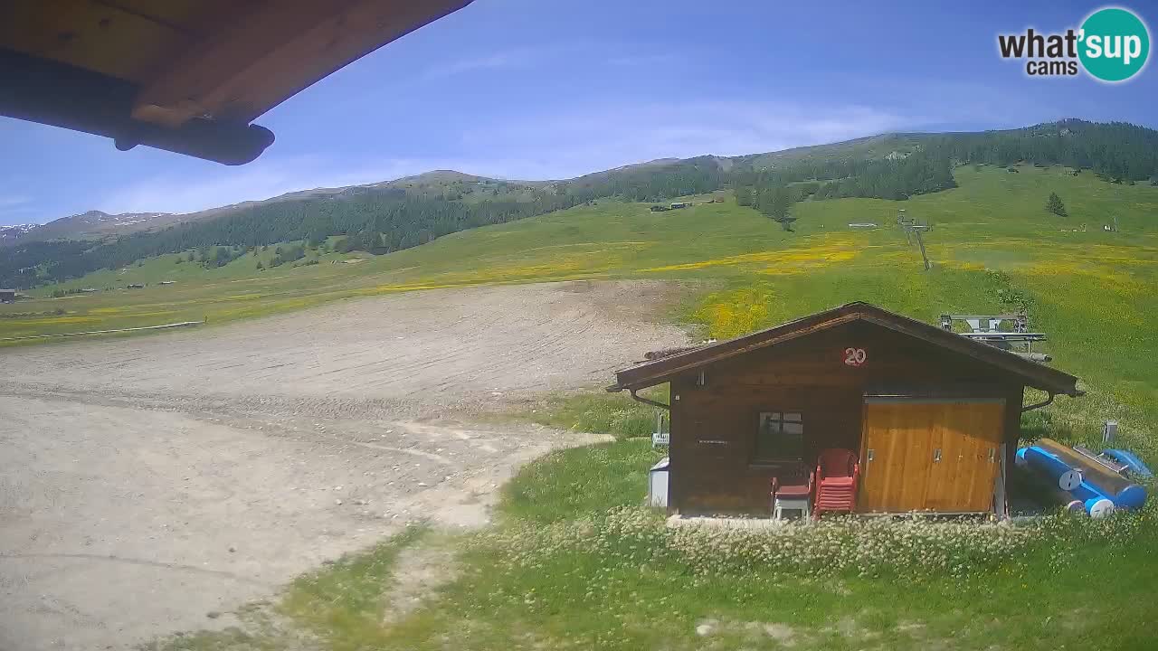 Webcam SKI Livigno snow forecast – ski area