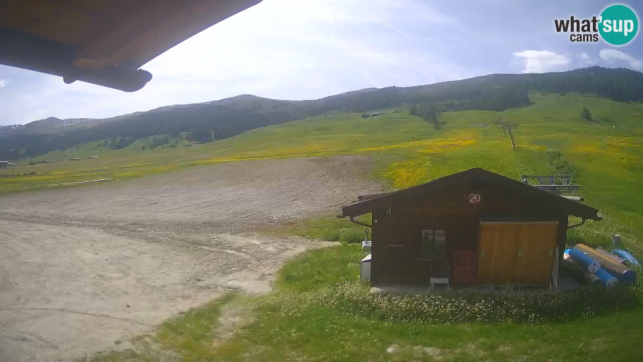 Webcam SKI Livigno snow forecast – ski area