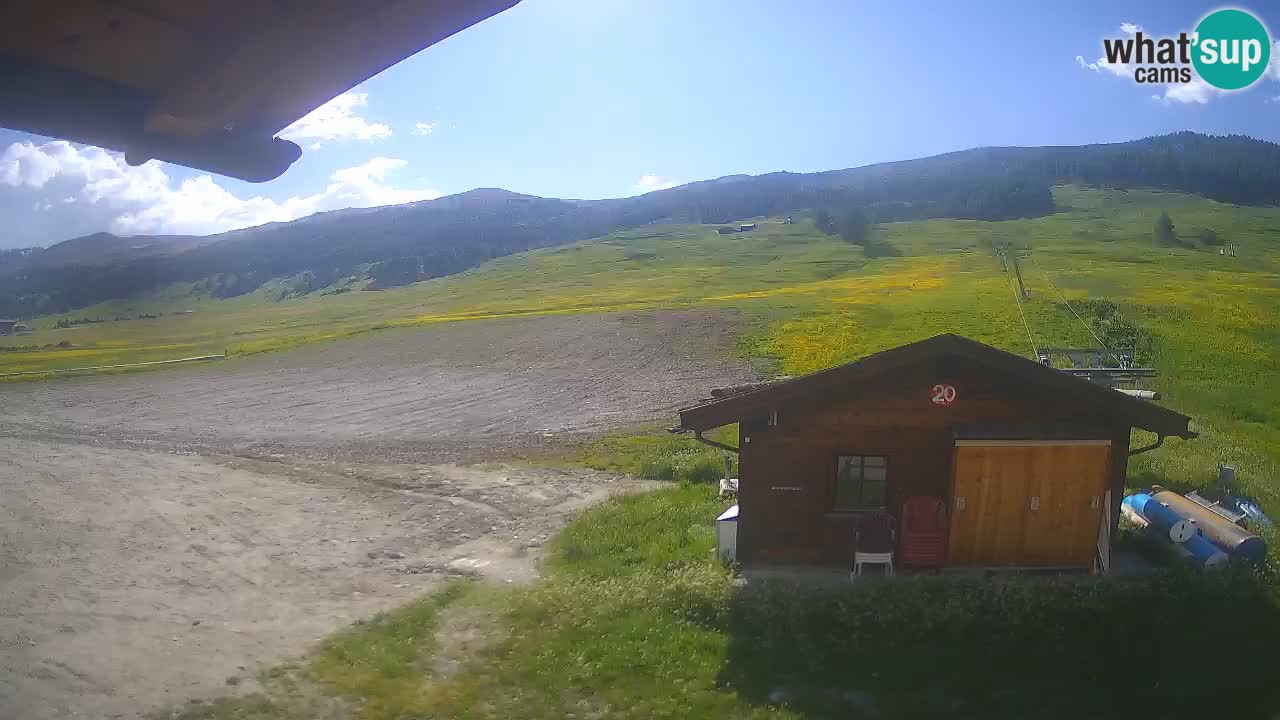 Livigno piste da sci webcam | Livigno ski