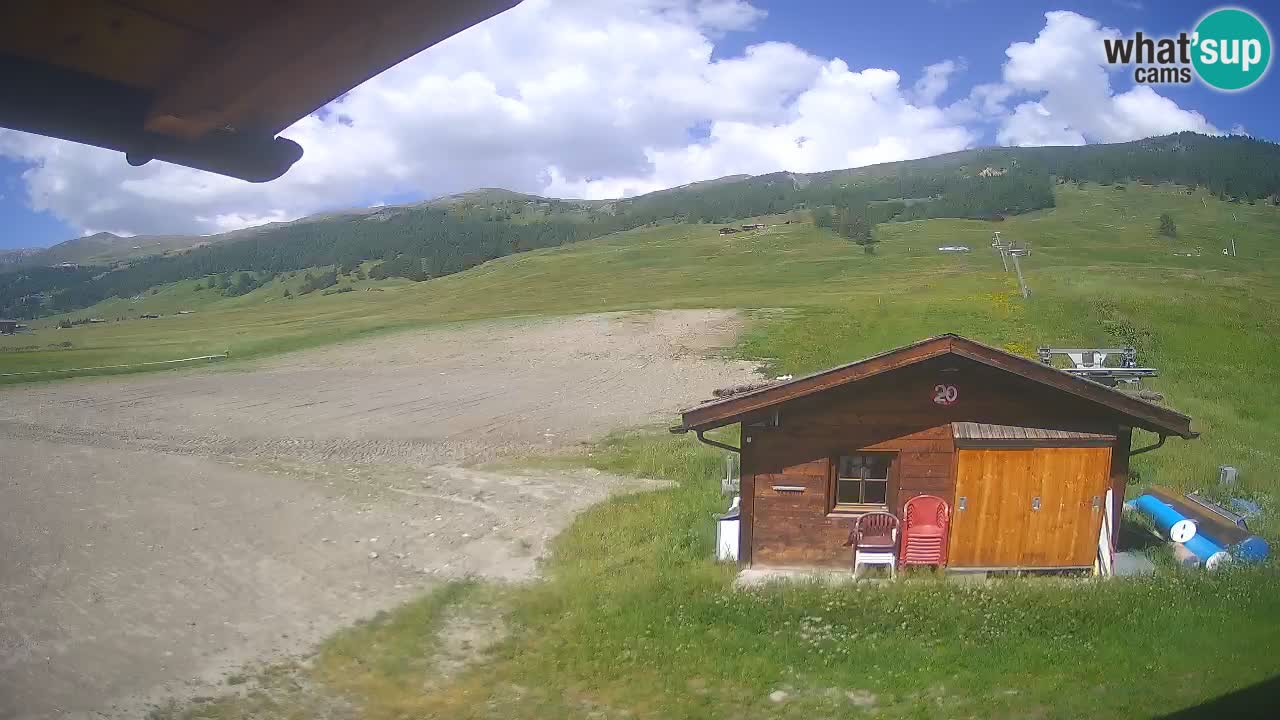 Livigno piste da sci webcam | Livigno ski