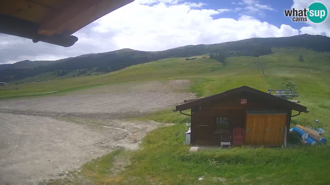 Livigno piste da sci webcam | Livigno ski