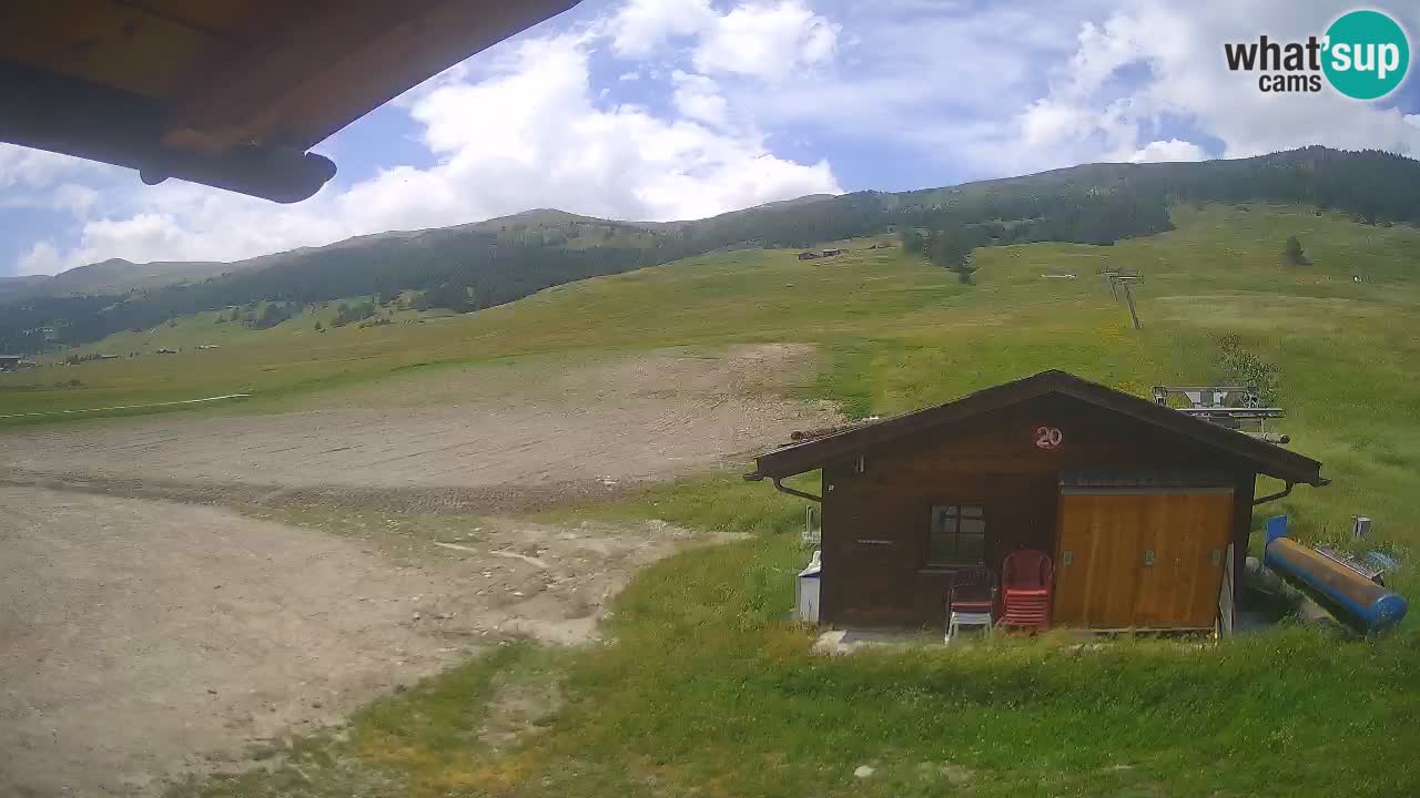 Livigno piste da sci webcam | Livigno ski