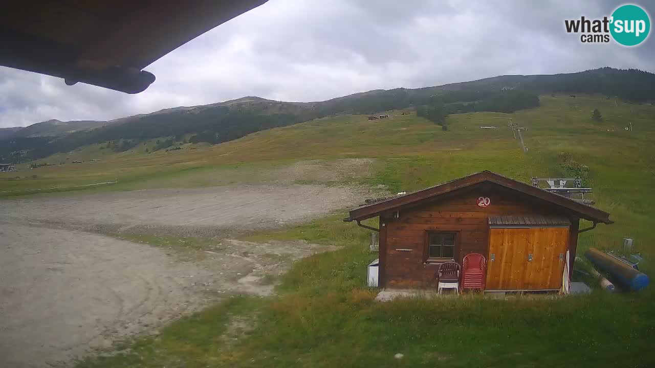 Livigno piste da sci webcam | Livigno ski