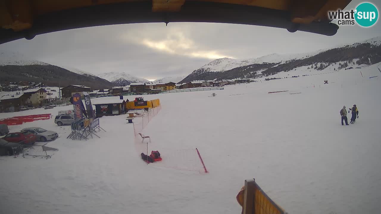 Livigno piste da sci webcam | Livigno ski