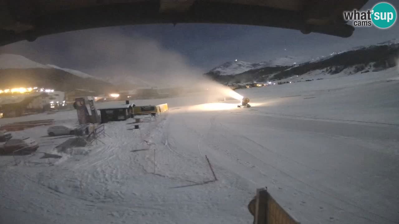 Livigno piste da sci webcam | Livigno ski