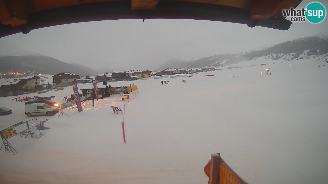 Smučišče Livigno webcam | Livigno Ski