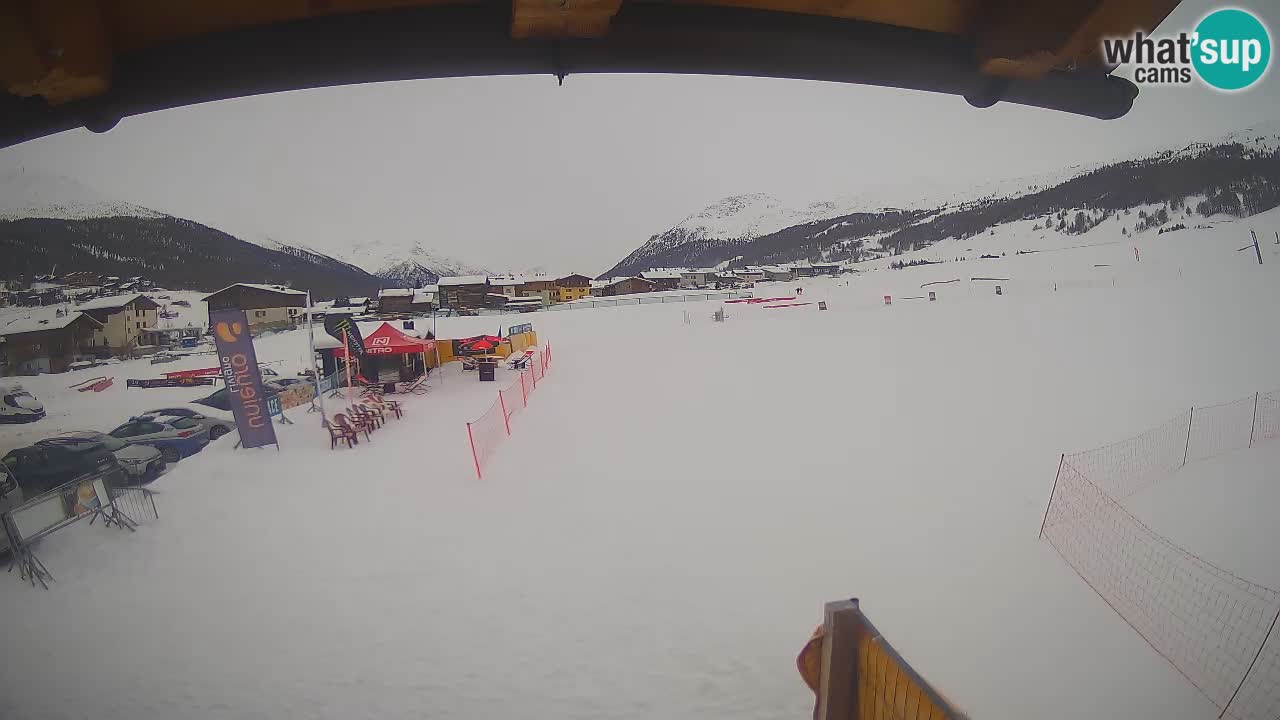 Livigno piste da sci webcam | Livigno ski