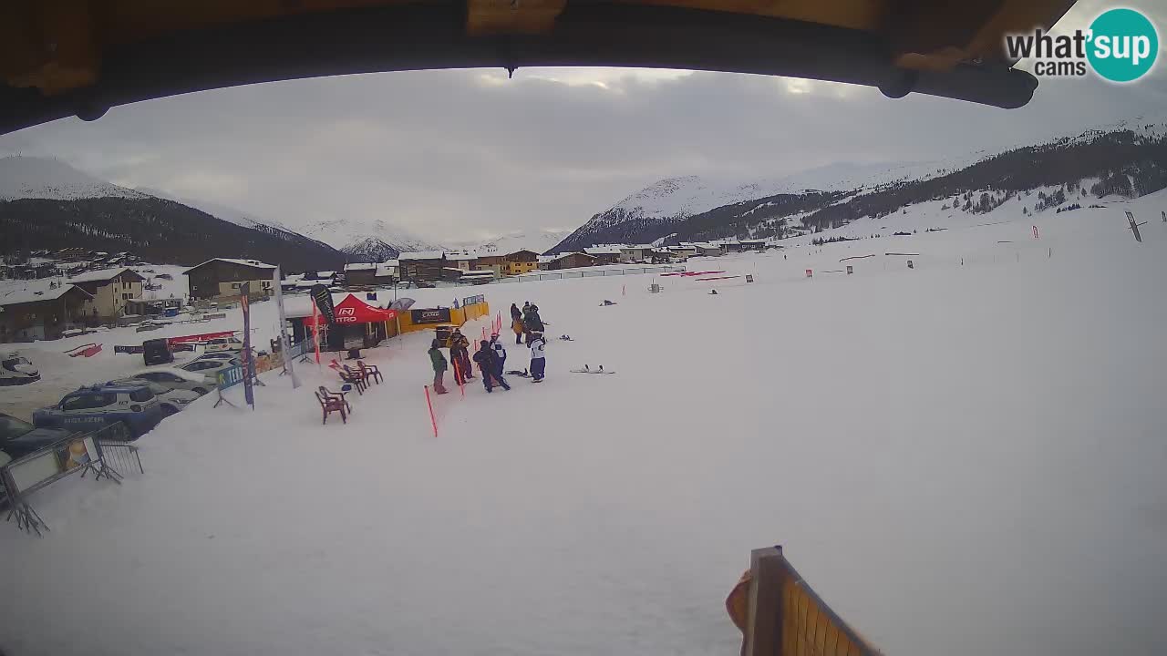 Livigno piste da sci webcam | Livigno ski