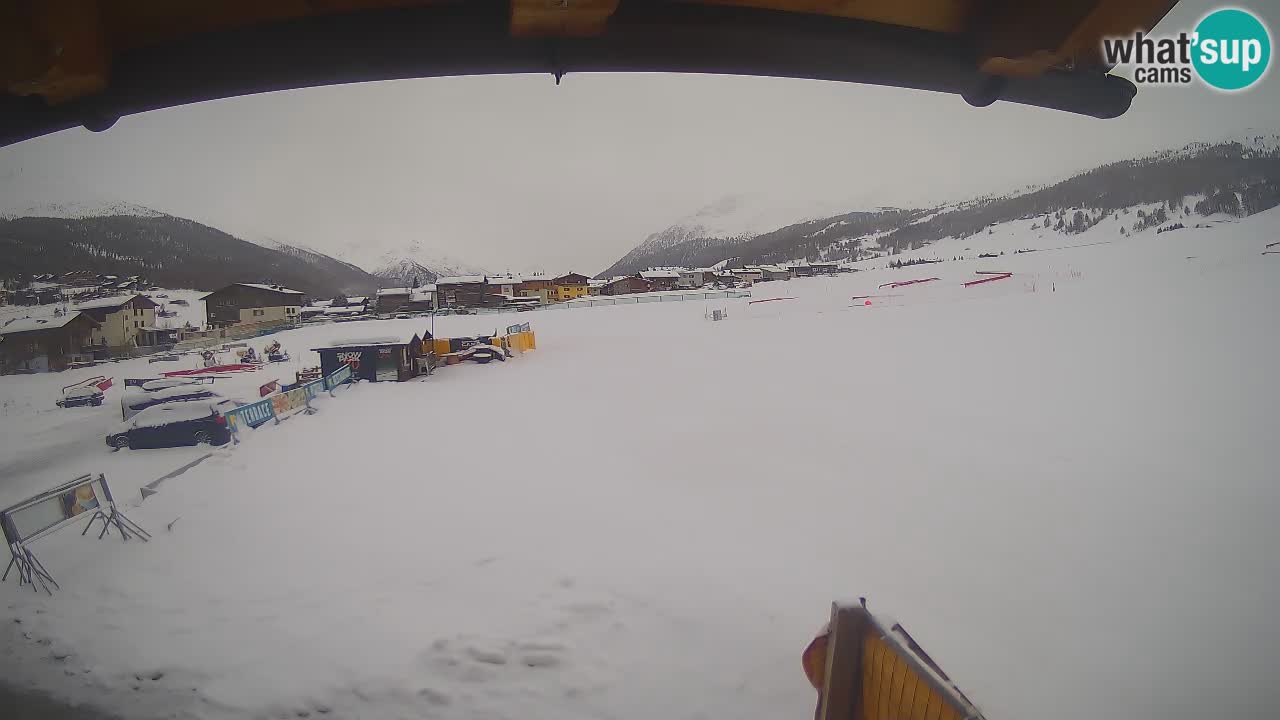 Webcam SKI Livigno snow forecast – ski area