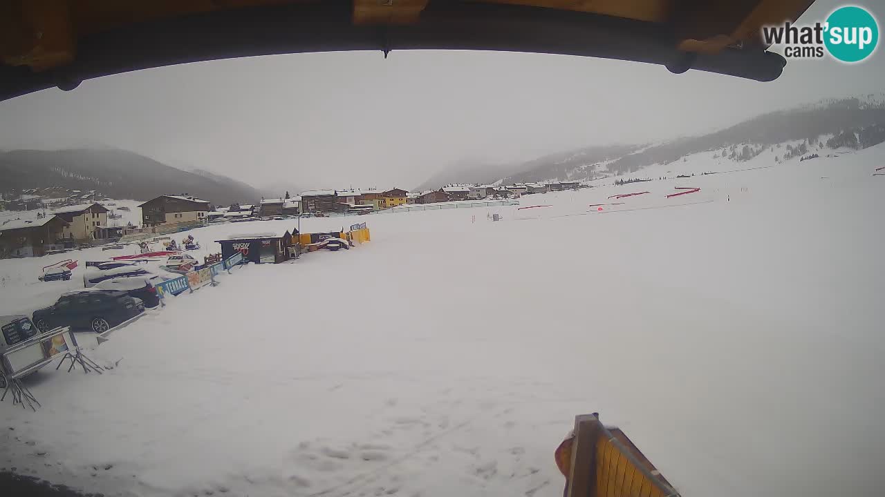 Livigno piste da sci webcam | Livigno ski