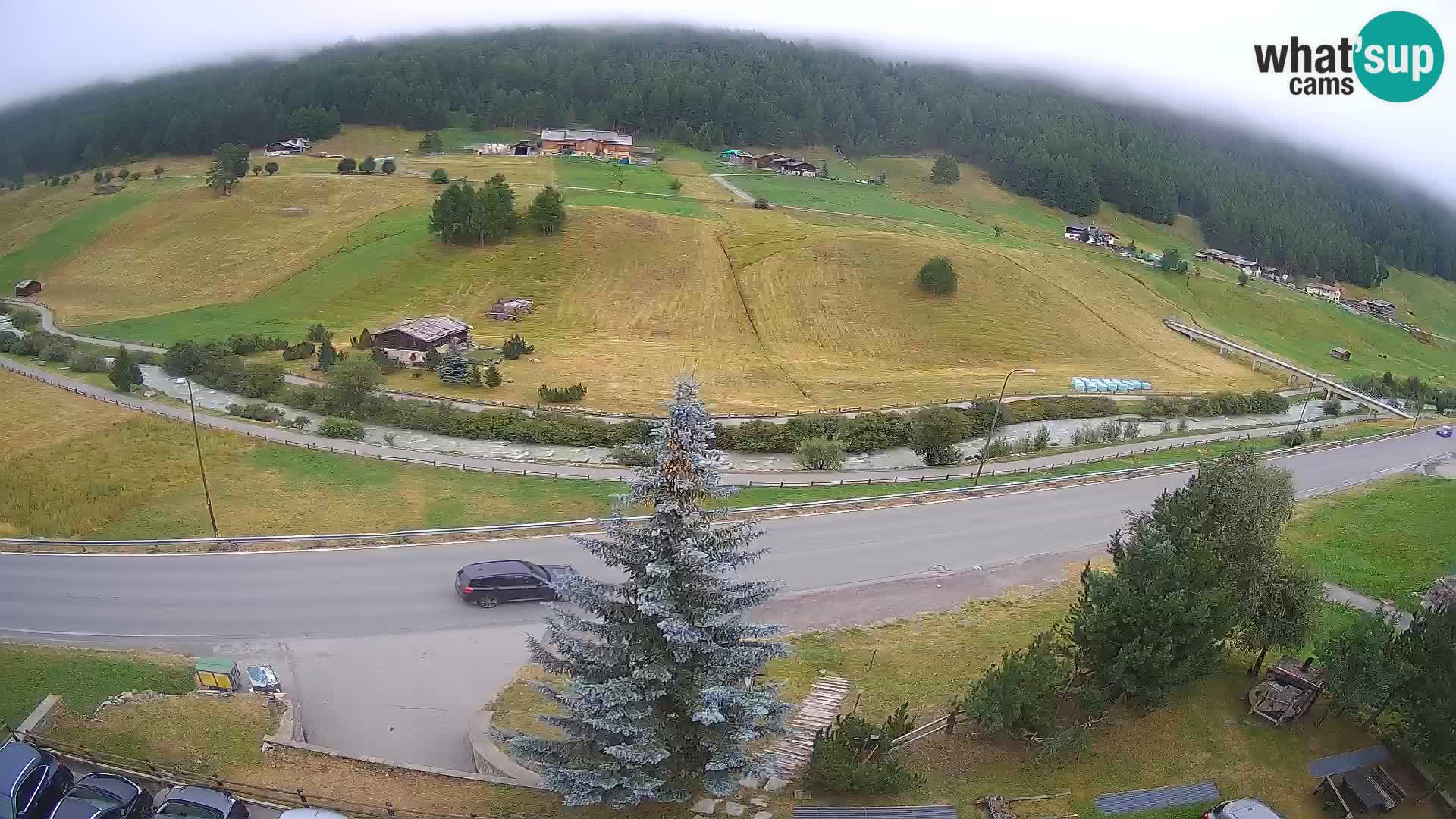 Webcam Livigno Hotel Primula