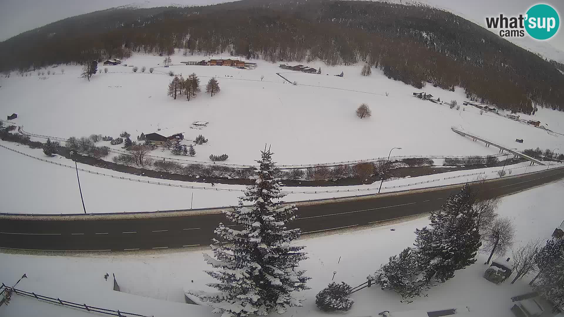 Web Cam Livigno | Hotel Primula