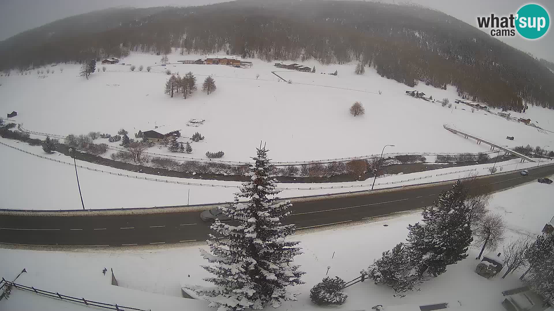 Web Cam Livigno | Hotel Primula