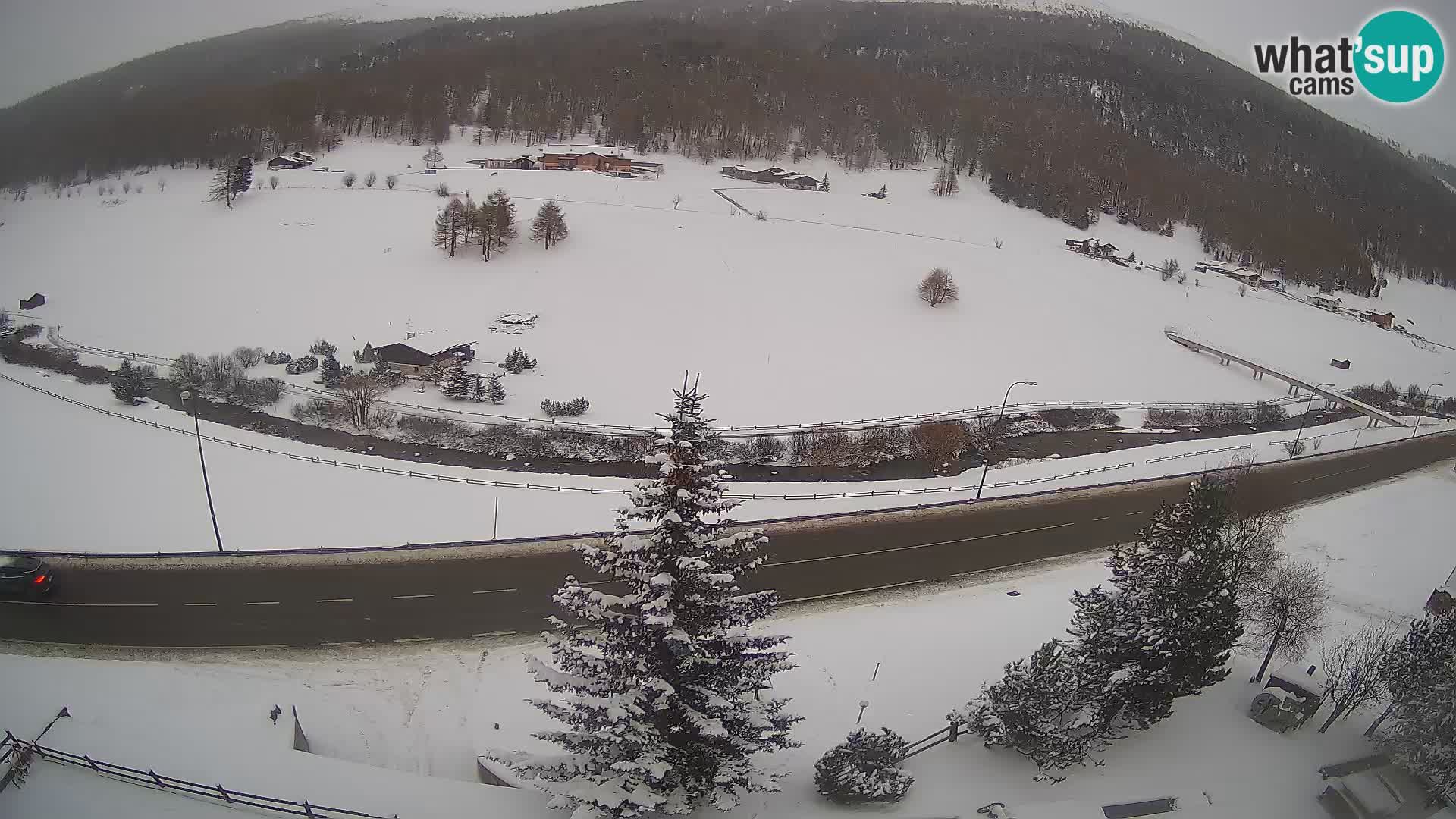 Web Cam Livigno | Hotel Primula