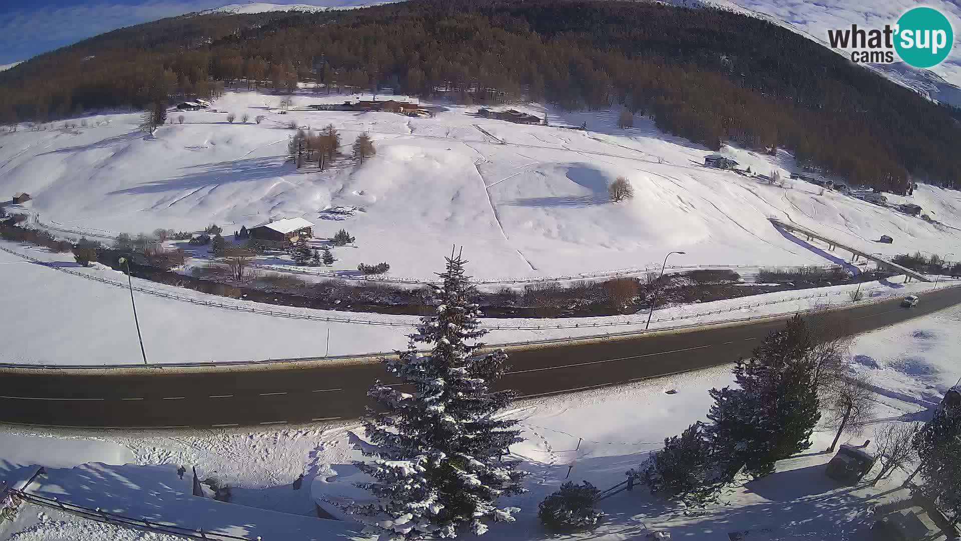 Livigno Cam Hotel Primula | Livigno smučišče