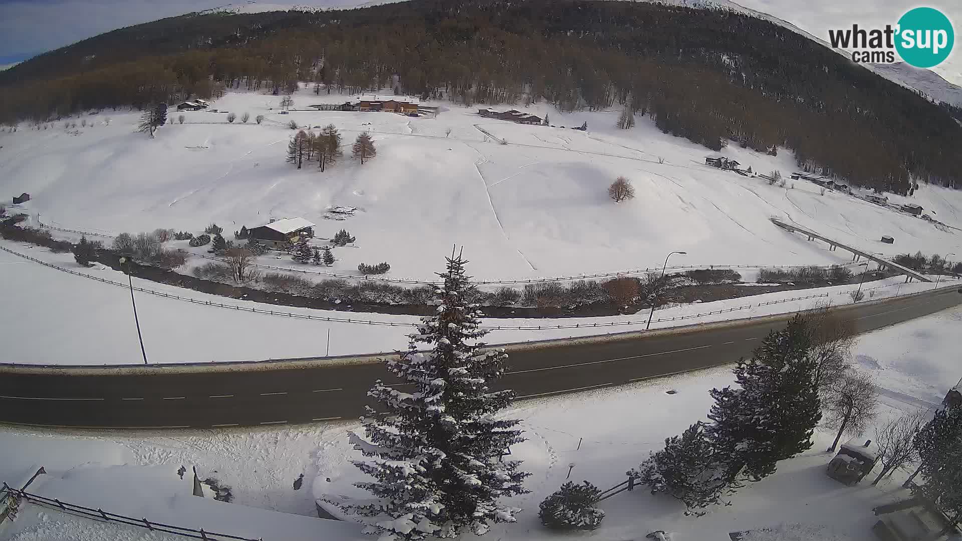 Web Cam Livigno | Hotel Primula