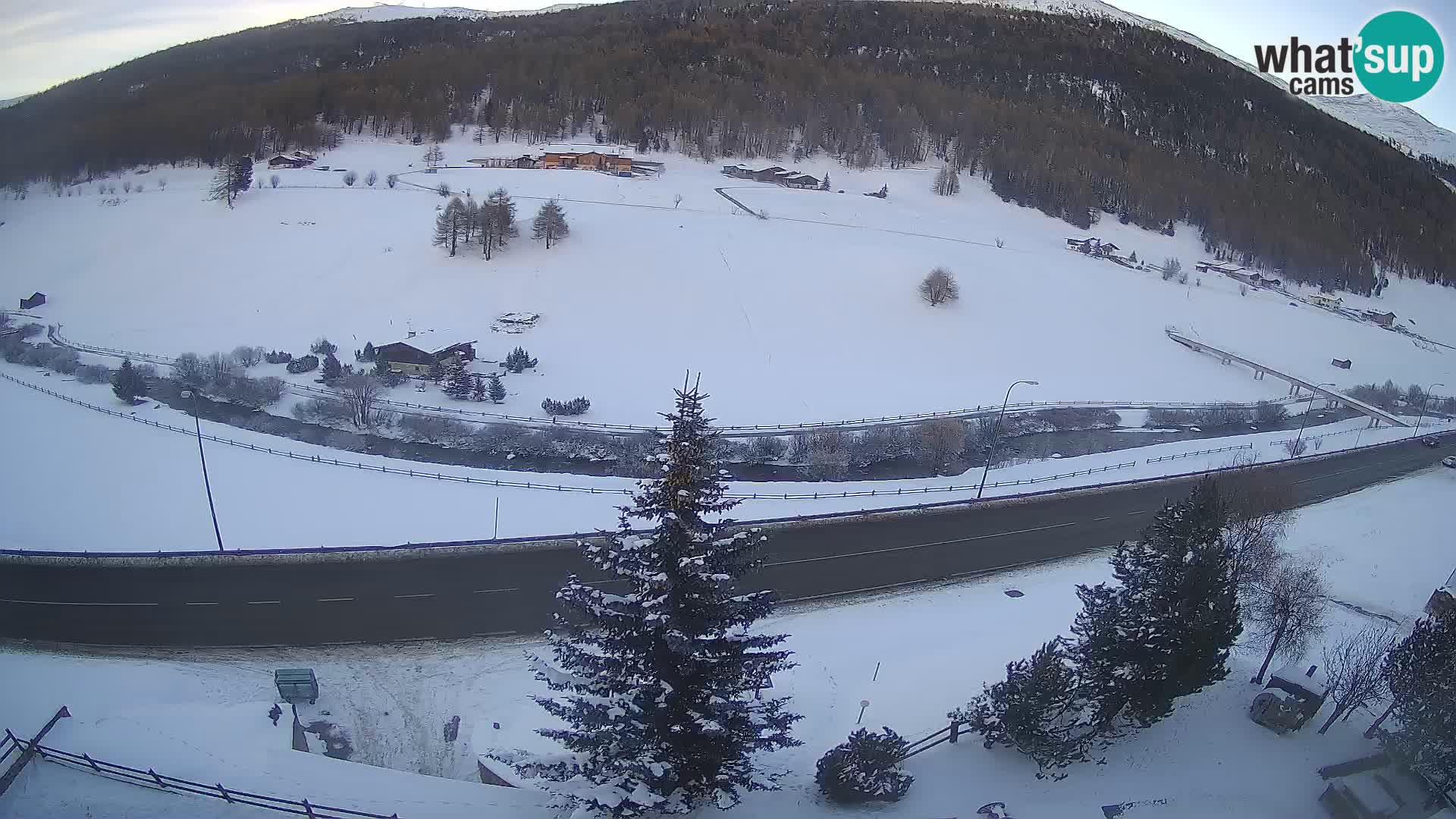 Web Cam Livigno | Hotel Primula