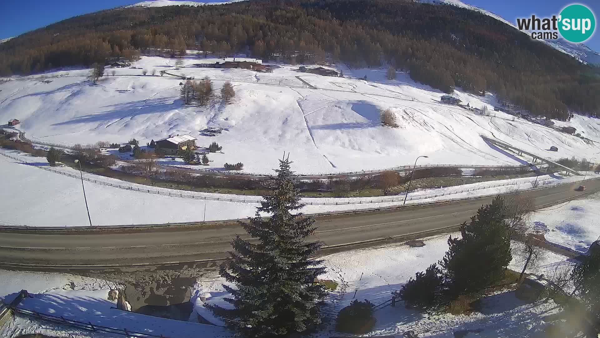 Livigno Cam Hotel Primula | Livigno smučišče