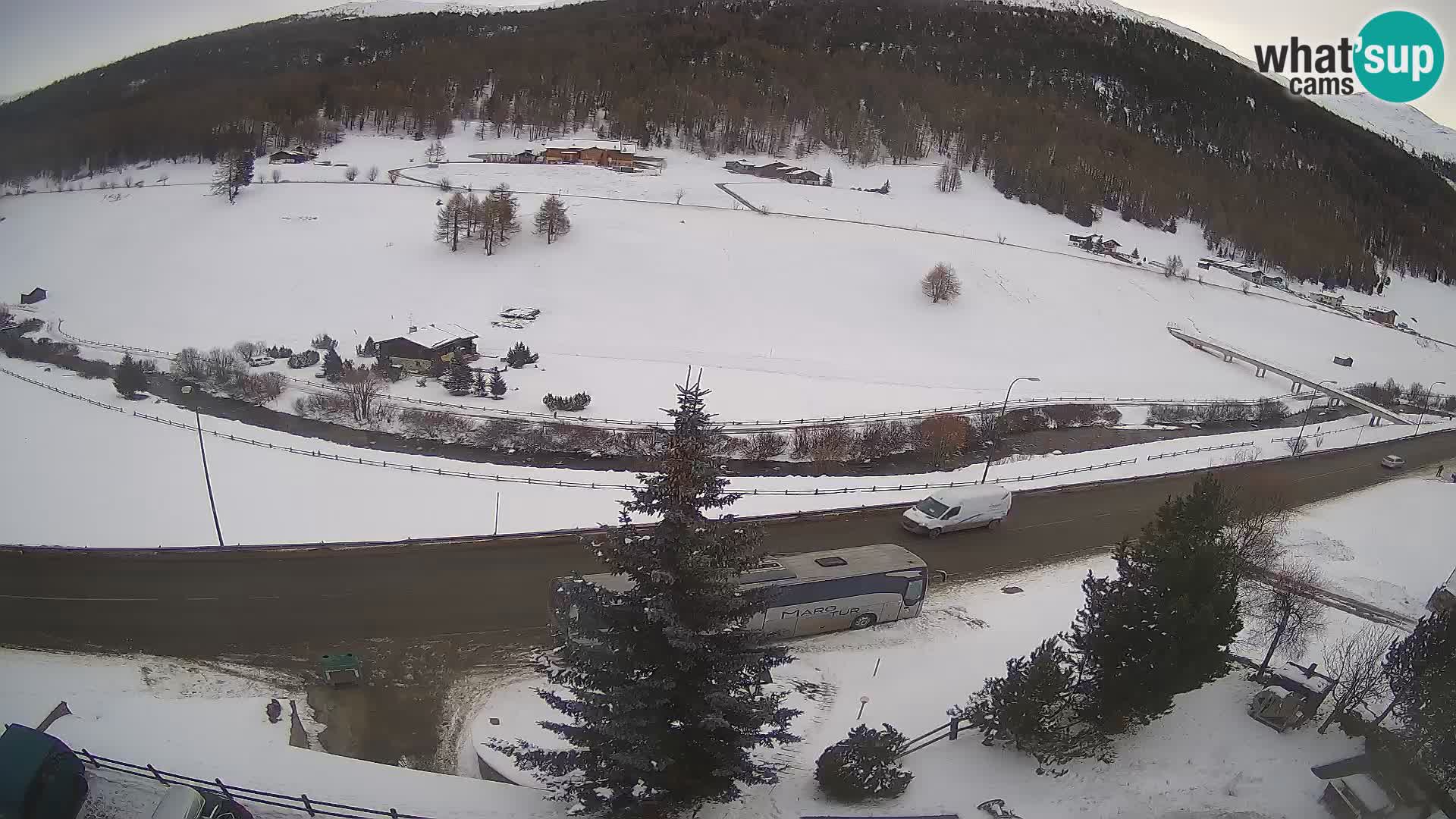 Livigno Cam Hotel Primula | Livigno smučišče