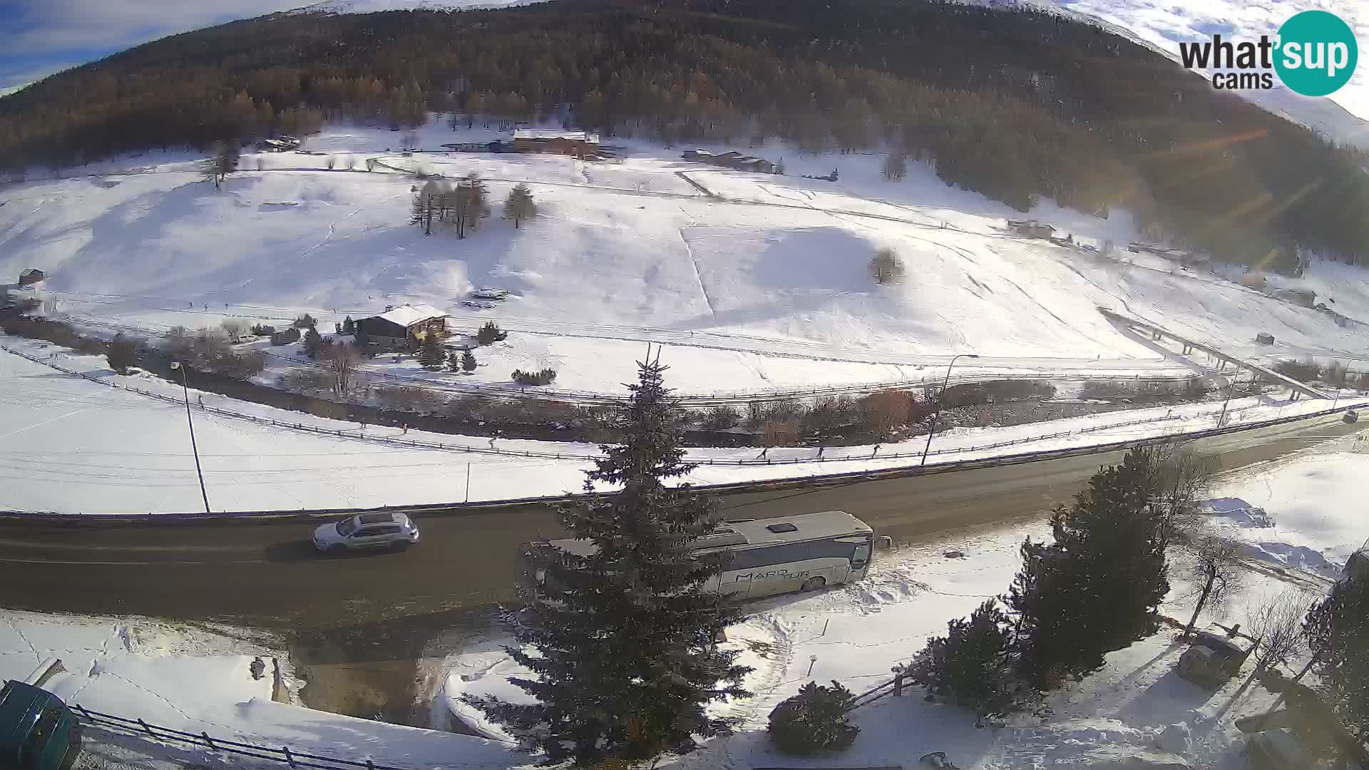 Web Cam Livigno | Hotel Primula