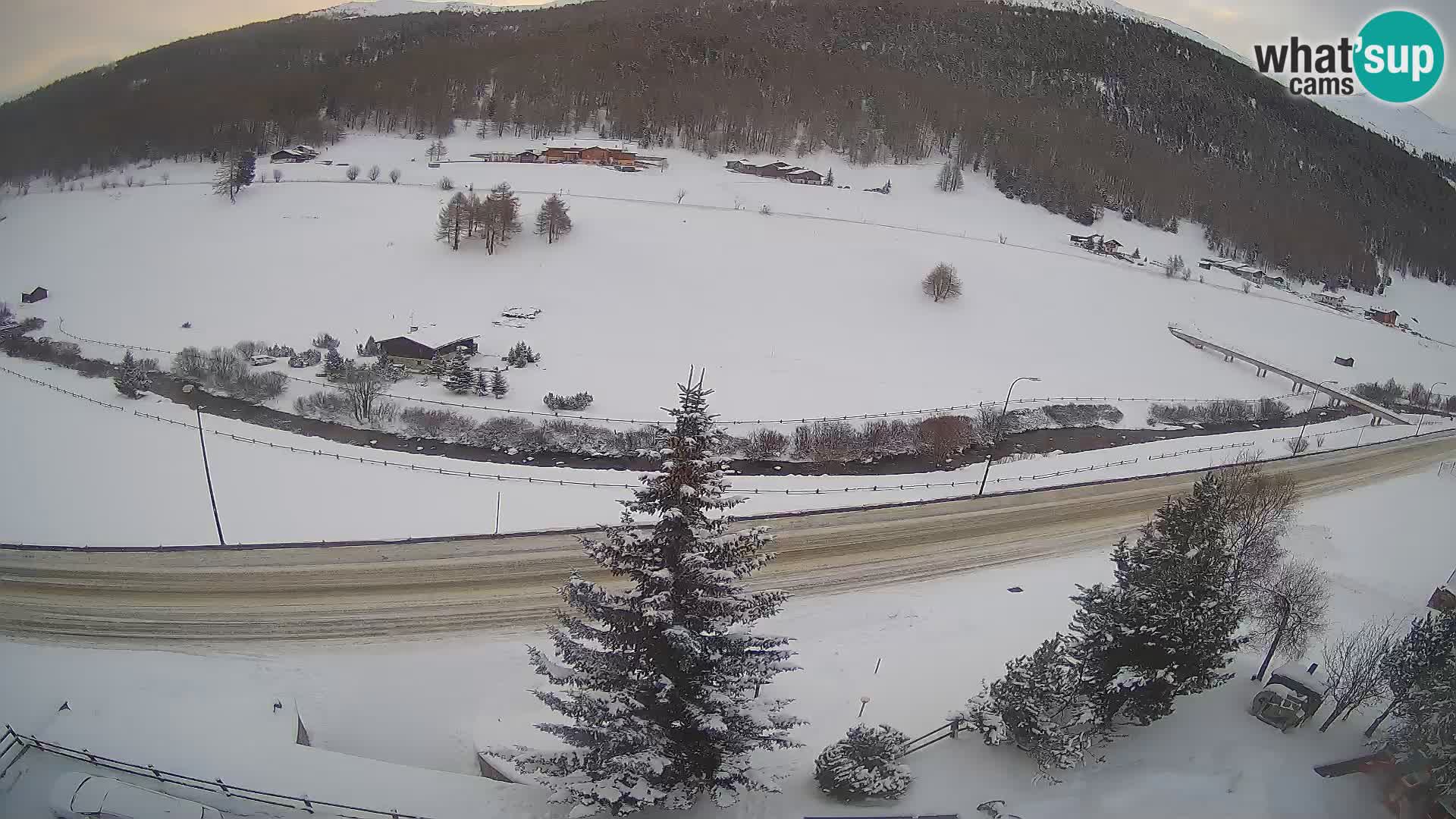 Livigno webcam LIVE Hotel Primula