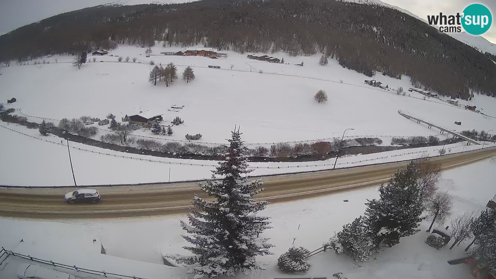 Livigno Hotel Primula webcam