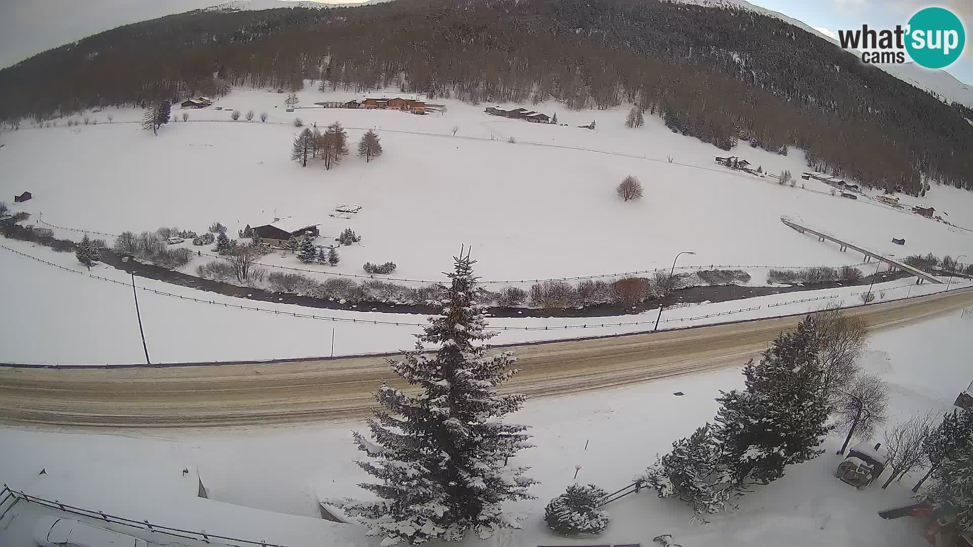 Webcam Livigno Hotel Primula