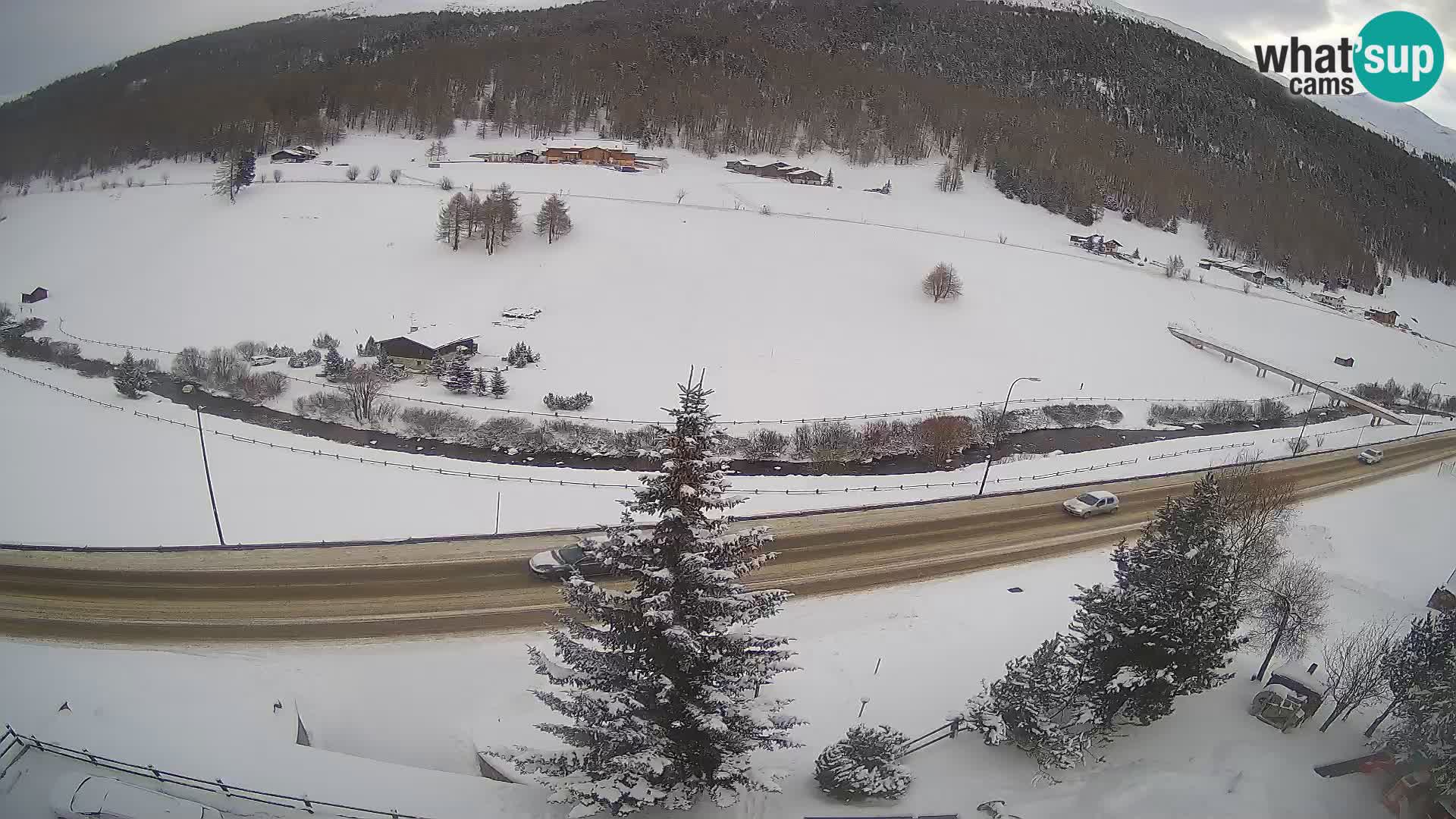 Livigno webcam LIVE Hotel Primula