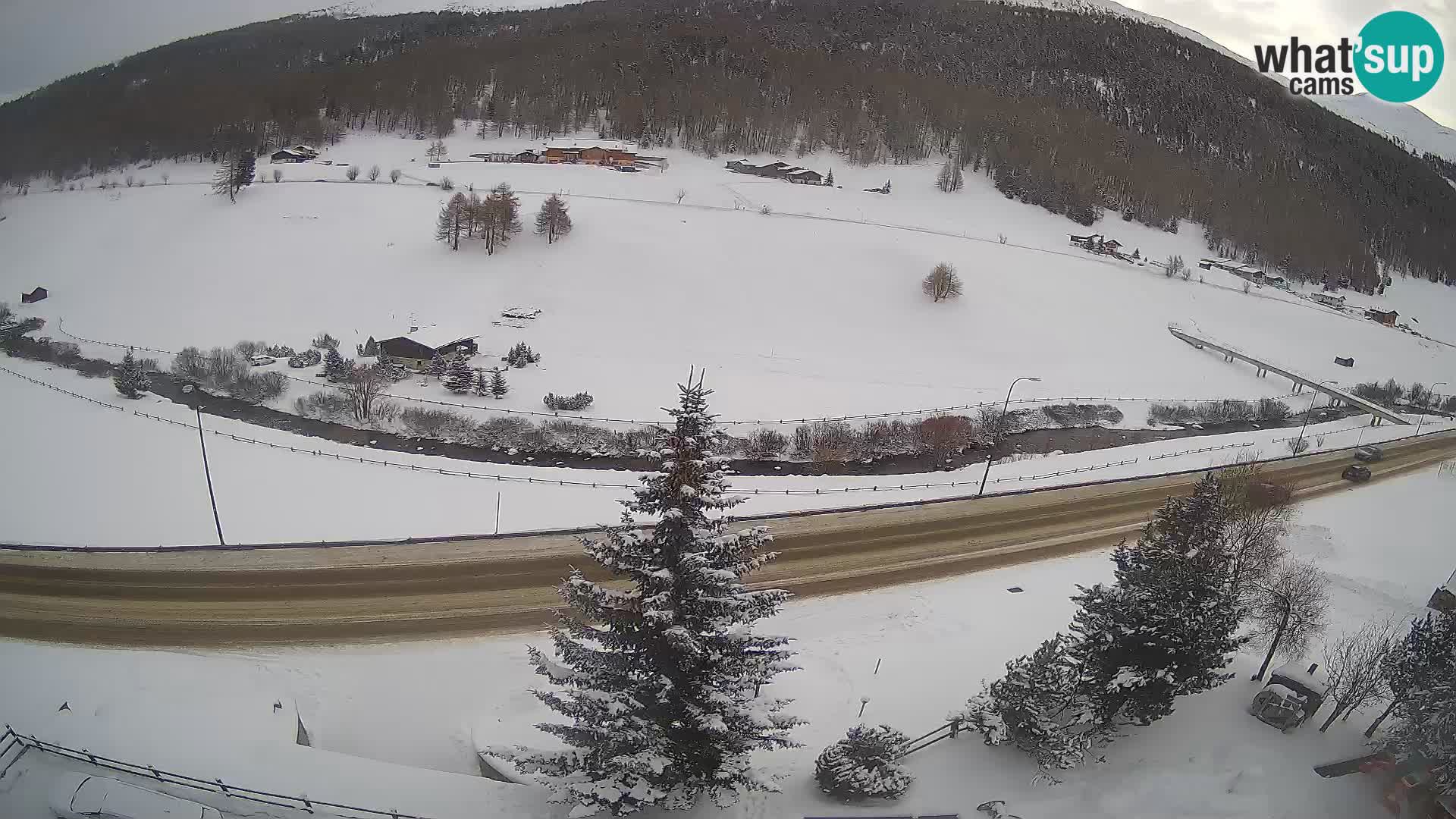 Livigno webcam LIVE Hotel Primula