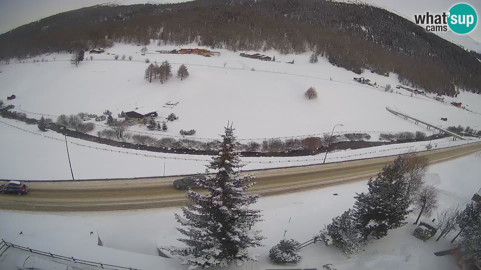 Web Cam Livigno | Hotel Primula