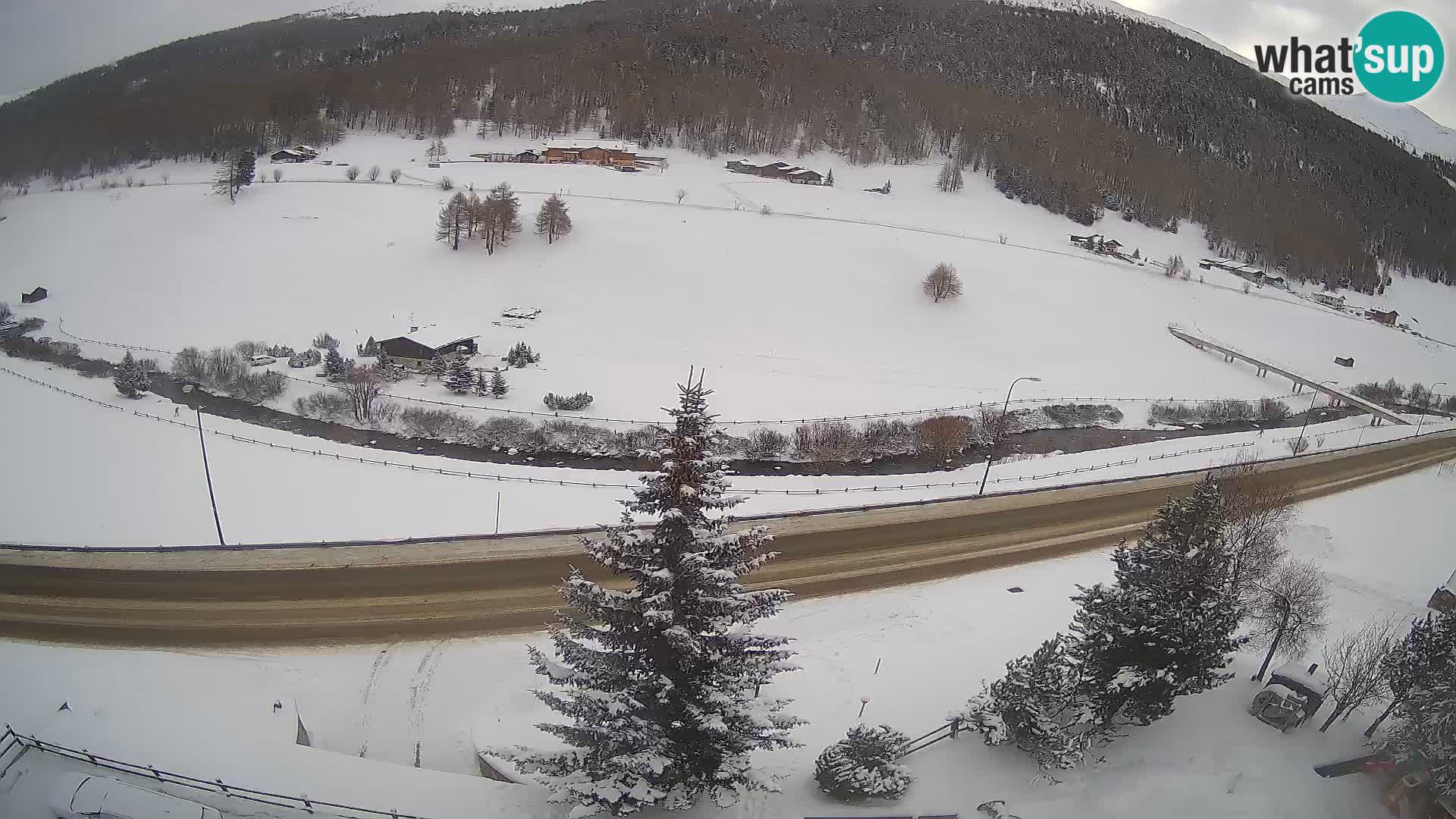 Livigno Hotel Primula webcam