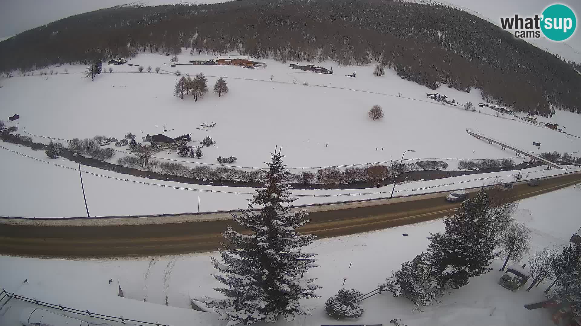 Livigno Hotel Primula webcam