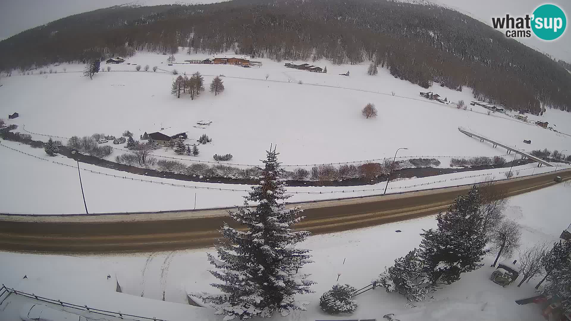 Webcam Livigno Hotel Primula