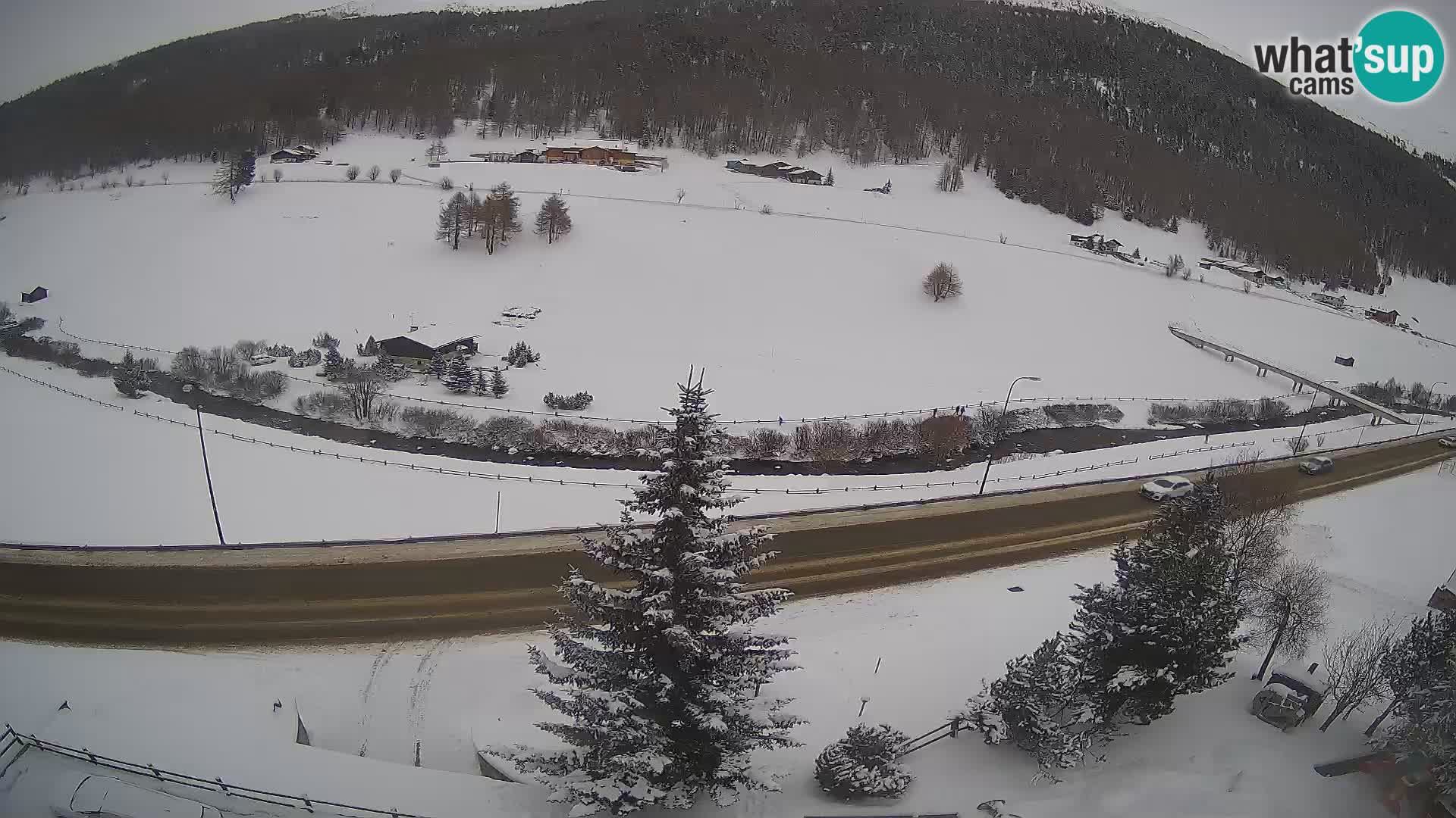 Web Cam Livigno | Hotel Primula