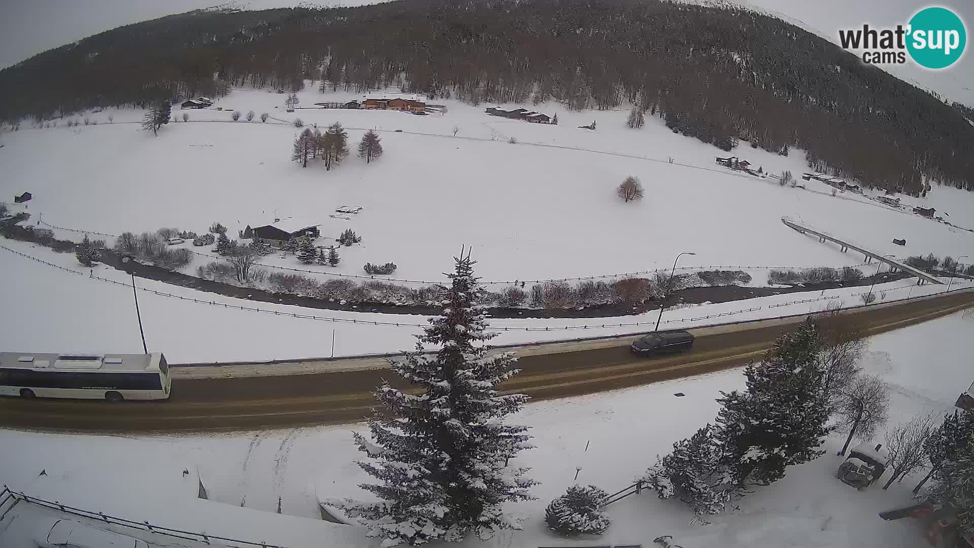 Livigno webcam LIVE Hotel Primula