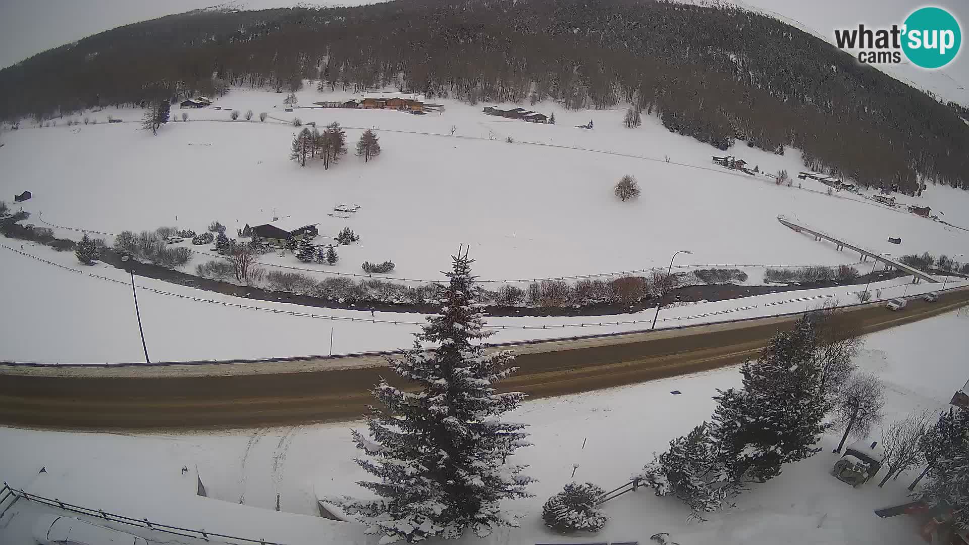 Webcam Livigno Hotel Primula